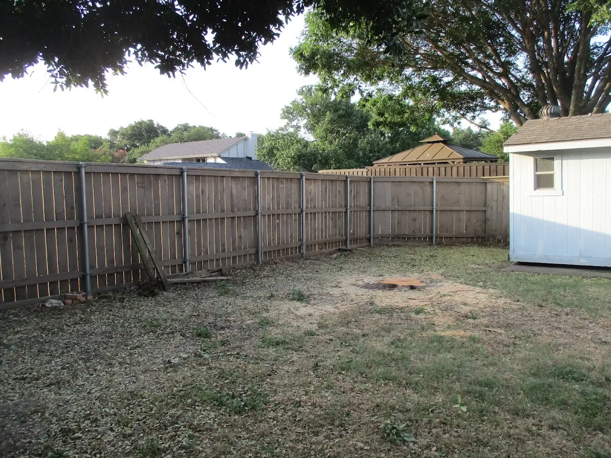 Cleared yard after professional tree removal in New Lenox