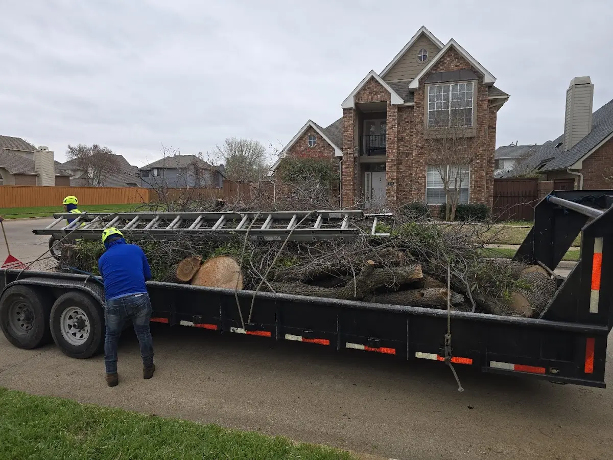 Expert Tree Fertilization with proper safety equipment in New Lenox